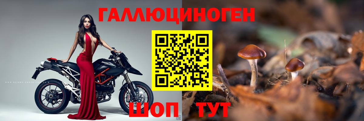 Псилоцибиновые грибы Cubensis  Вход с VPN  Галлюциногенные грибы ЛСД  Алушта 